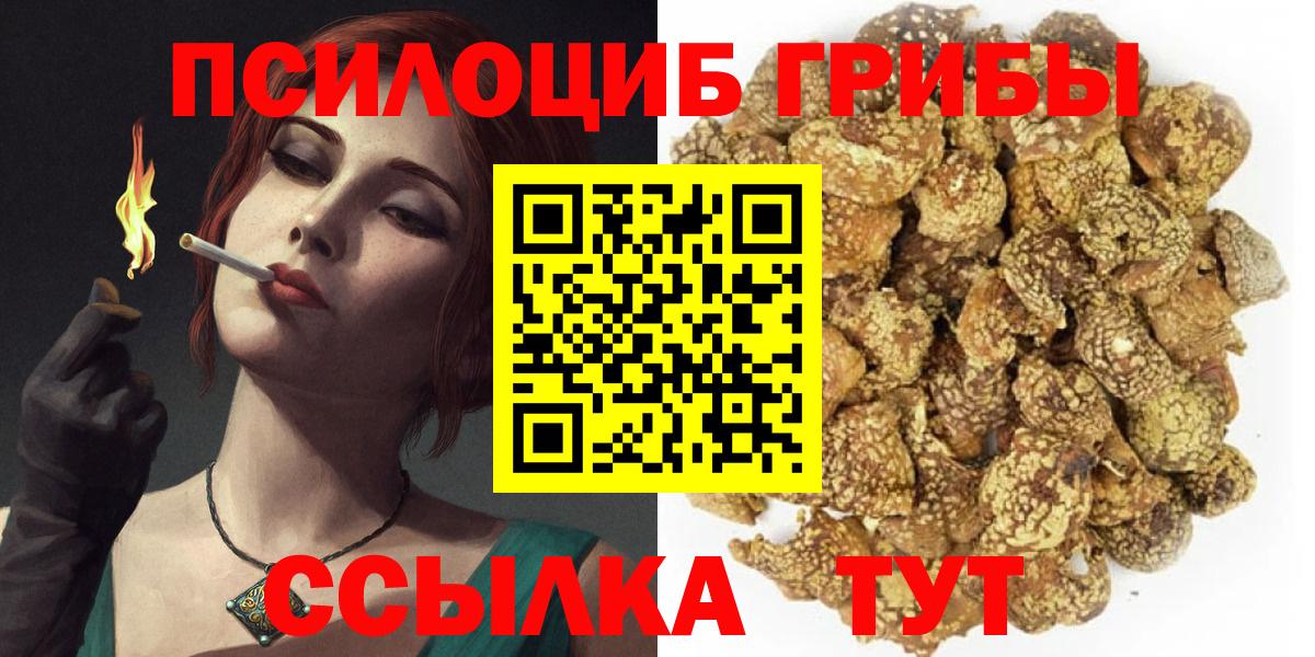 Старая Русса  Псилоцибиновые грибы ЛСД  Вход с VPN 