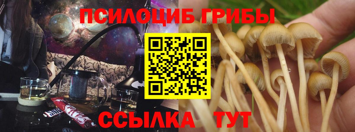 Псилоцибиновые грибы ЛСД Старая Русса